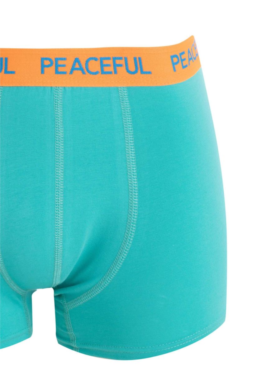 MAN Green 3 piece Regular Fit Boxer