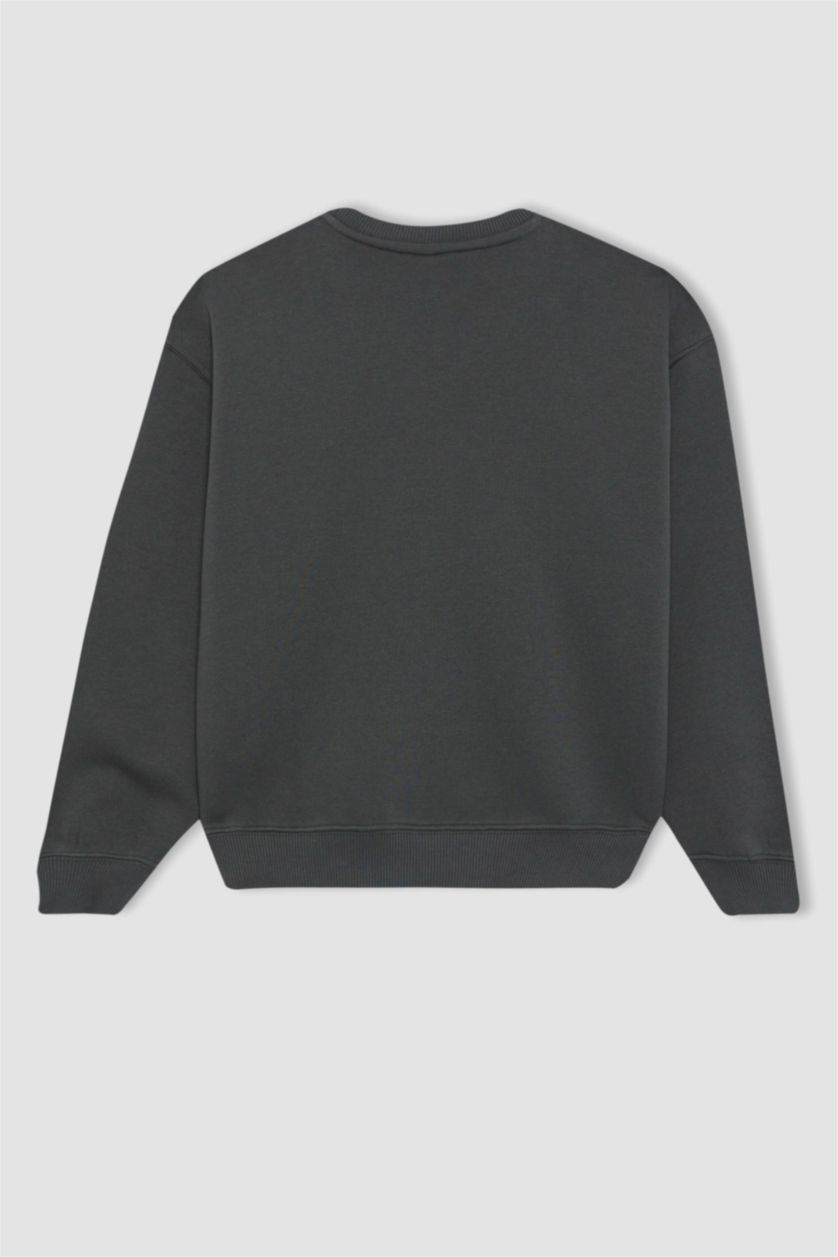 Girls & Teens Anthracite Regular Fit Crew Neck Sweatshirt