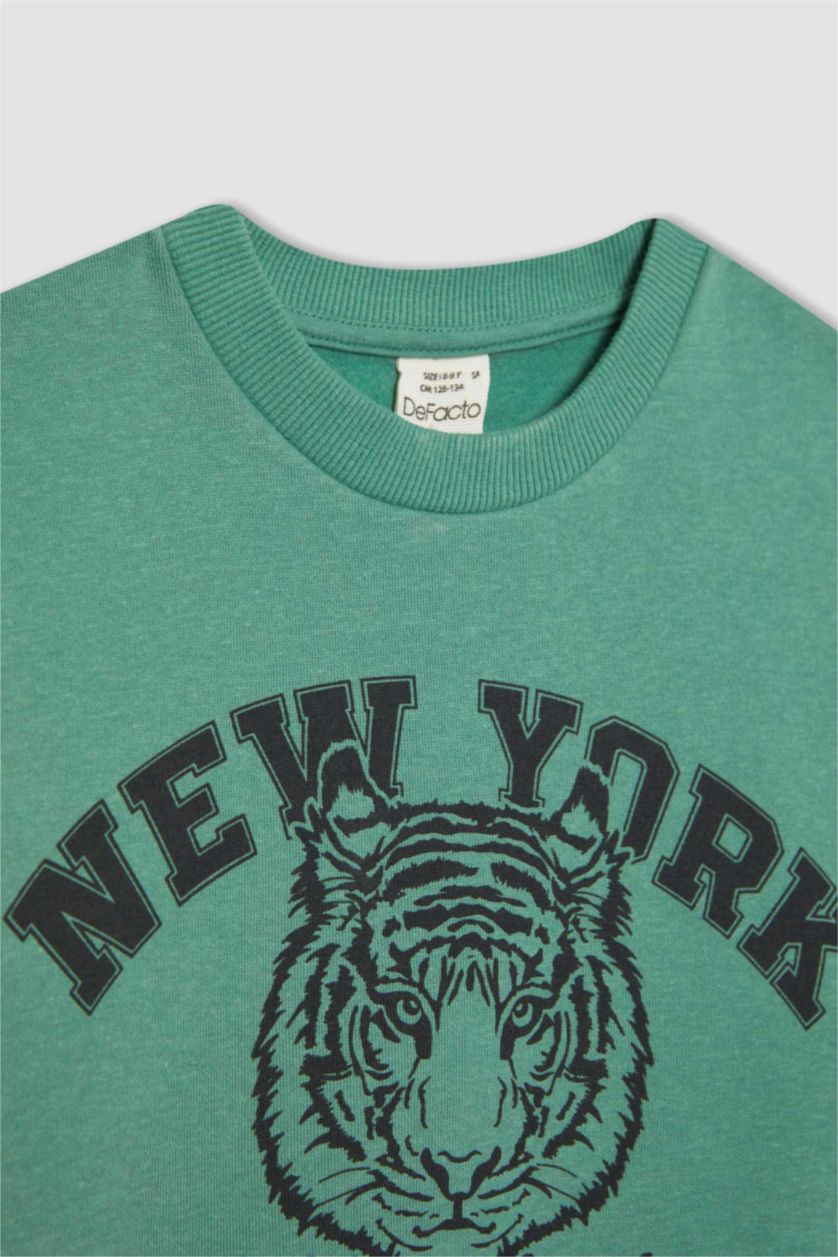 Erkek Çocuk - Genç Erkek Açık Yeşil Erkek Çocuk Bisiklet Yaka Baskılı Sweatshirt