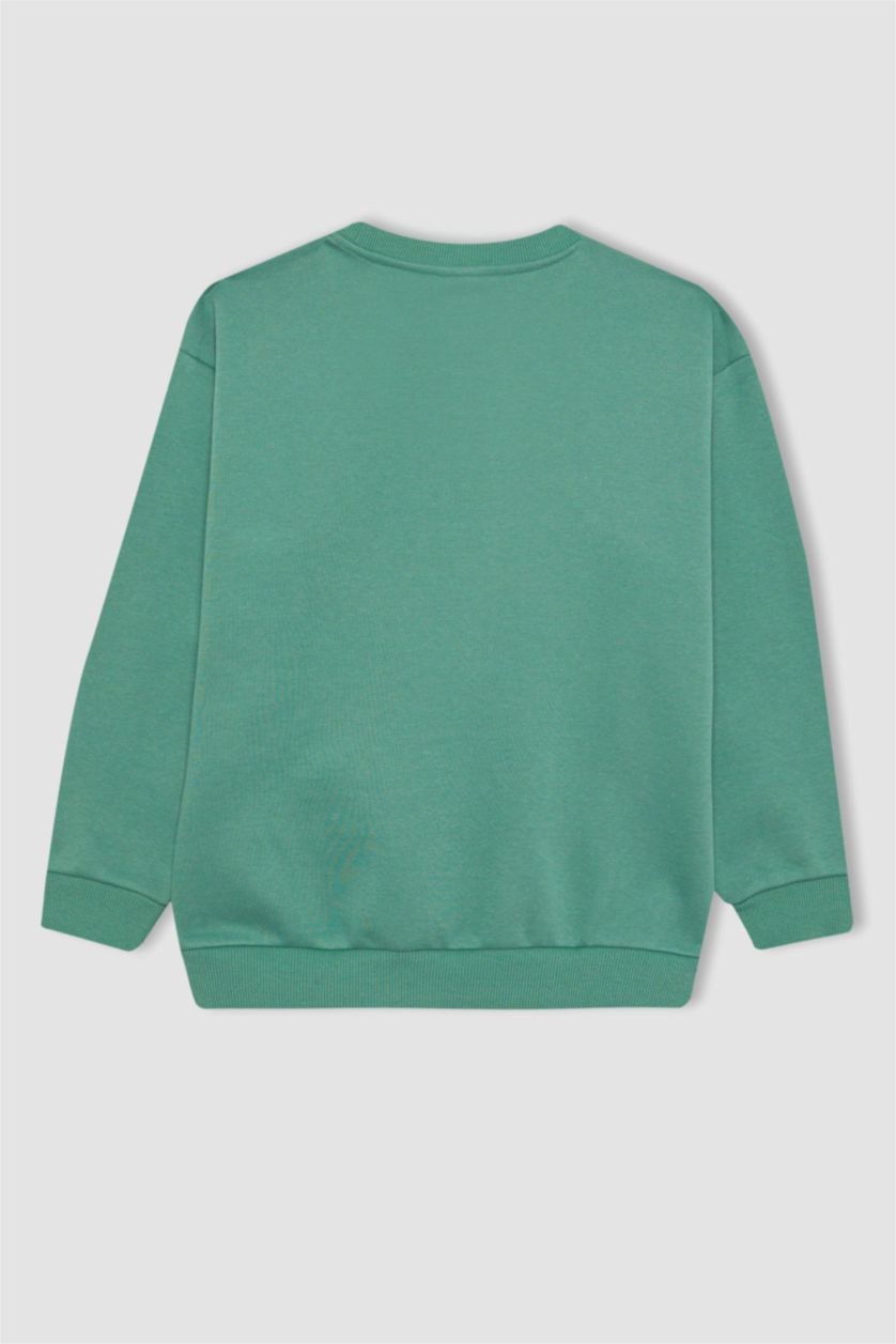 Erkek Çocuk - Genç Erkek Açık Yeşil Erkek Çocuk Bisiklet Yaka Baskılı Sweatshirt