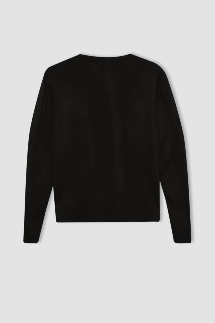 Women Black Regular Fit Knitwear Pullover