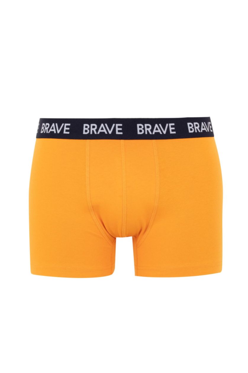 Erkek Sarı Regular Fıt 3'lü Boxer
