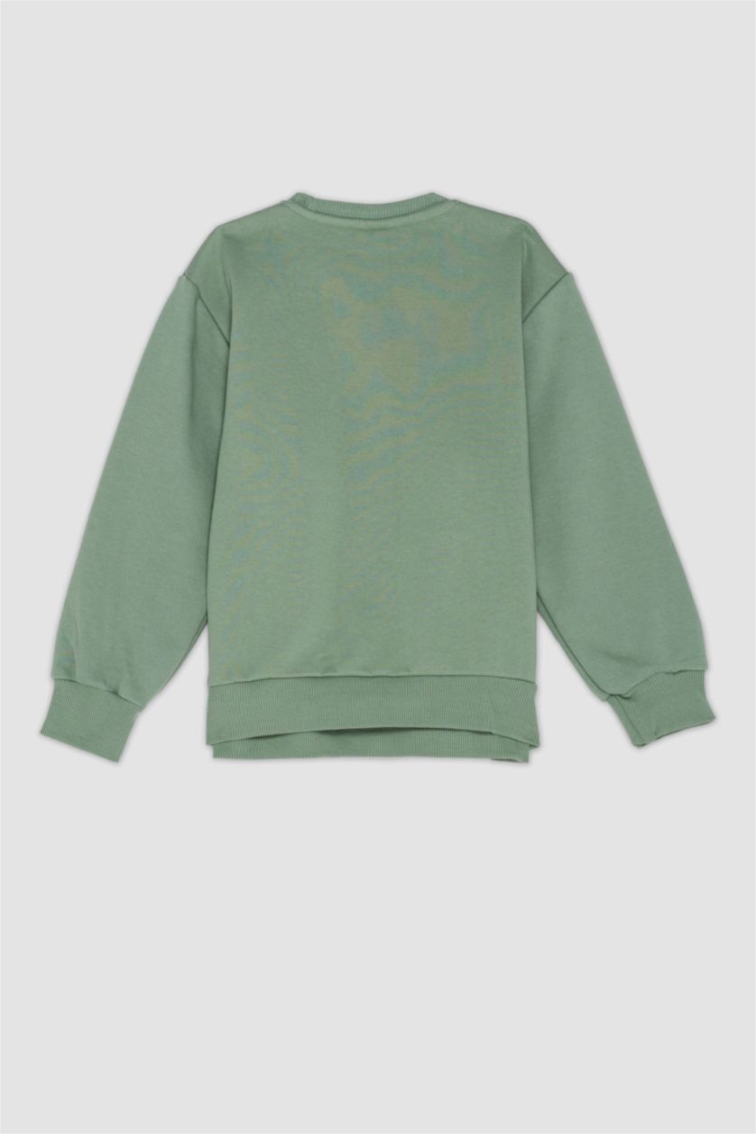 BOYS & TEENS Light Green Boy Regular Fit Crew Neck Thick Sweatshirt