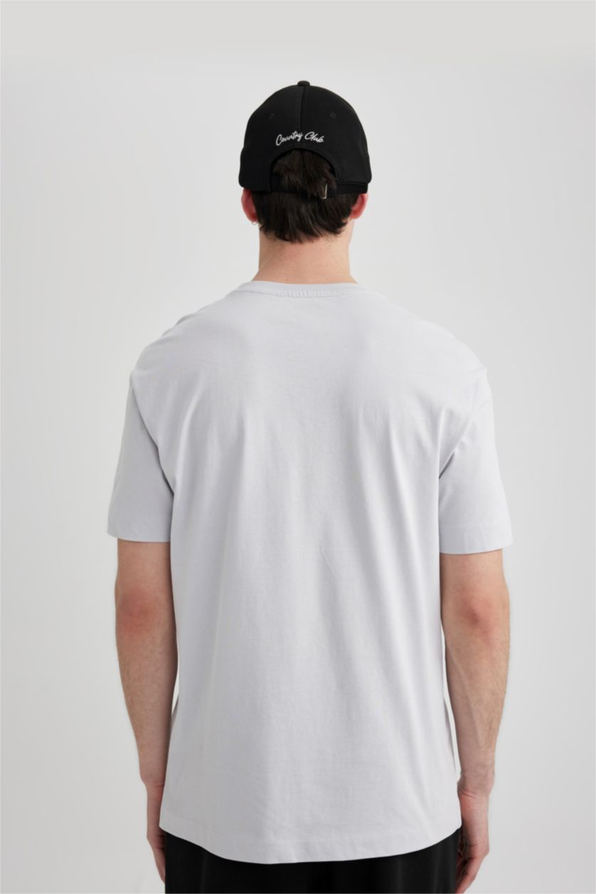 Erkek Açık Gri Regular Fit Bisiklet Yaka Baskılı Kısa Kollu Tişört