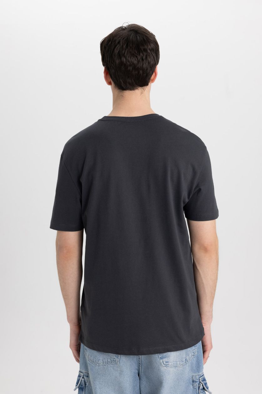 Erkek Antrasit Regular Fit Bisiklet Yaka Baskılı Kısa Kollu Tişört