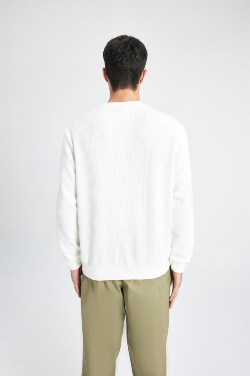 Erkek Kırık Beyaz Regular Fıt Bisiklet Yaka Sweatshirt