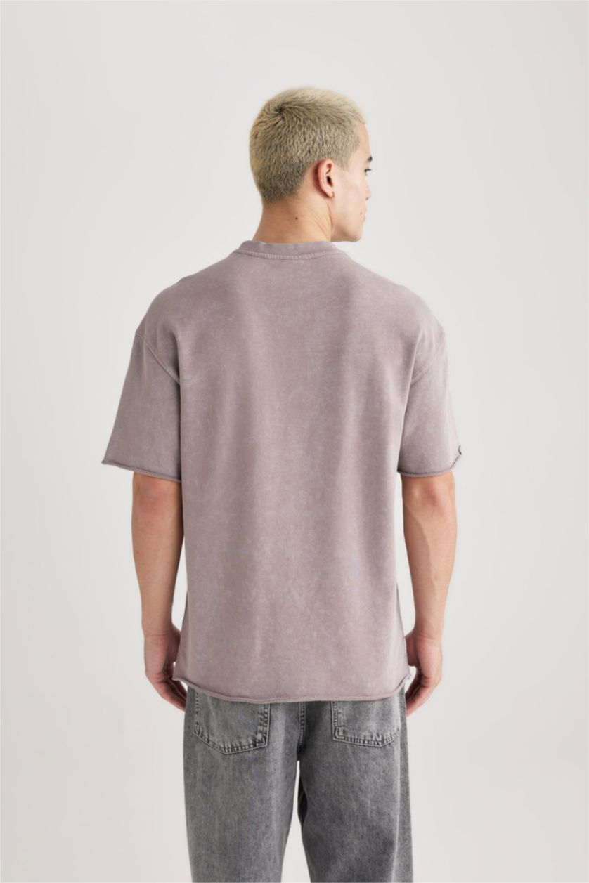 Erkek Lila Comfort Regular Fit Rahat Kalıp Bisiklet Yaka Yıkamalı Soluk Efektli Kısa Kollu Tişört