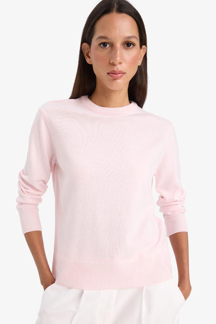 Woman Light Pink Relax Fit Crew Neck Knit Pullover