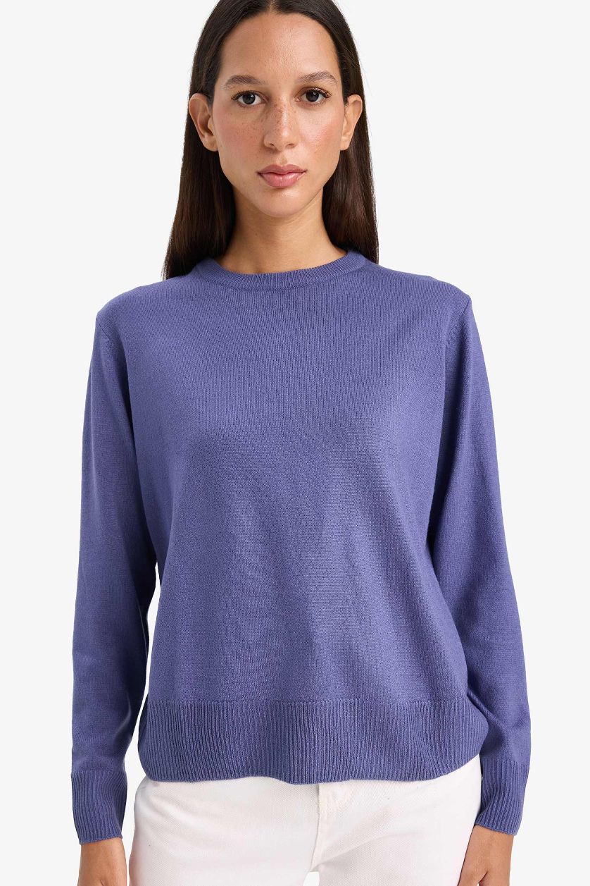 FEMME Violet Pull en tricot à col rond Coupe décontractée