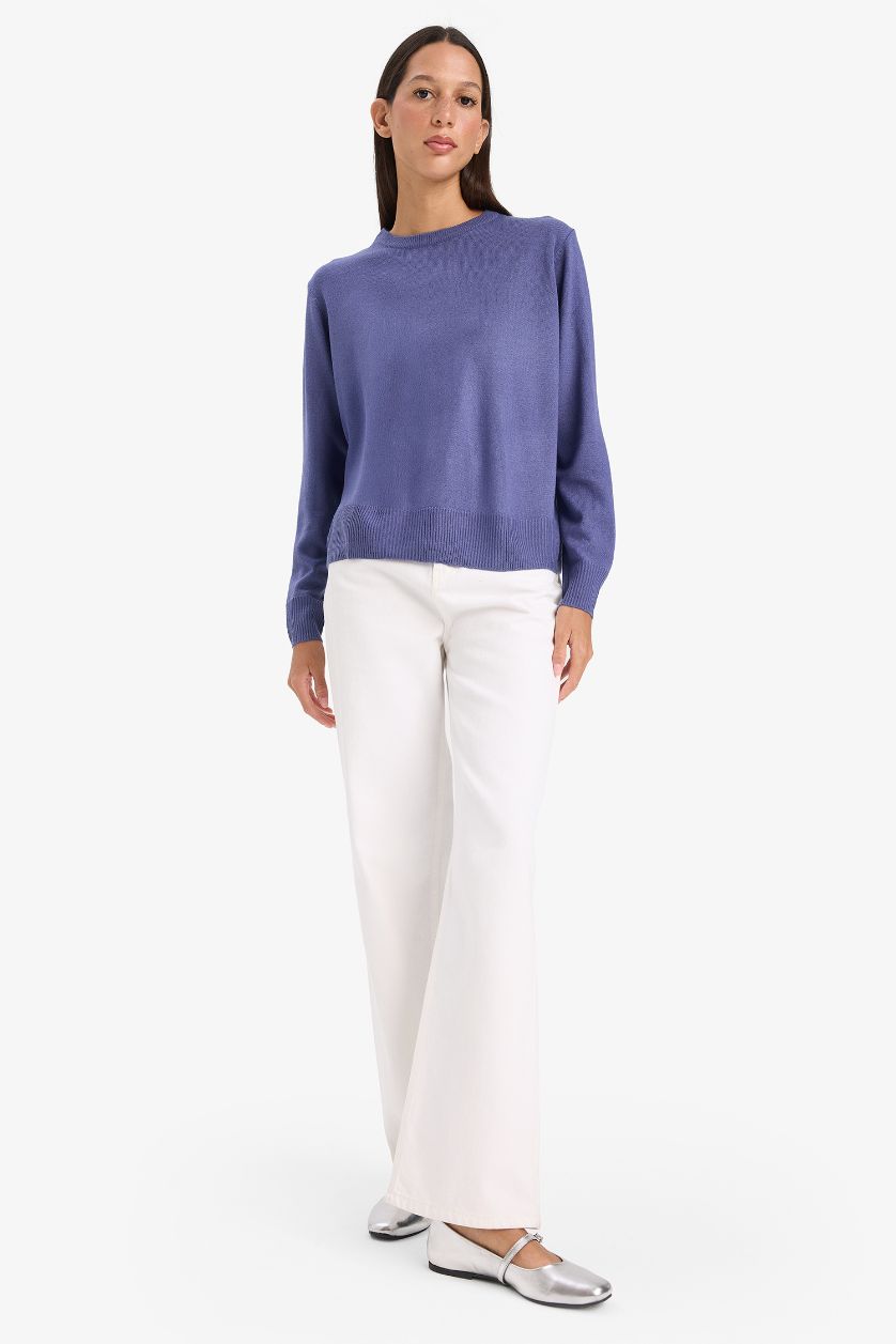 FEMME Violet Pull en tricot à col rond Coupe décontractée