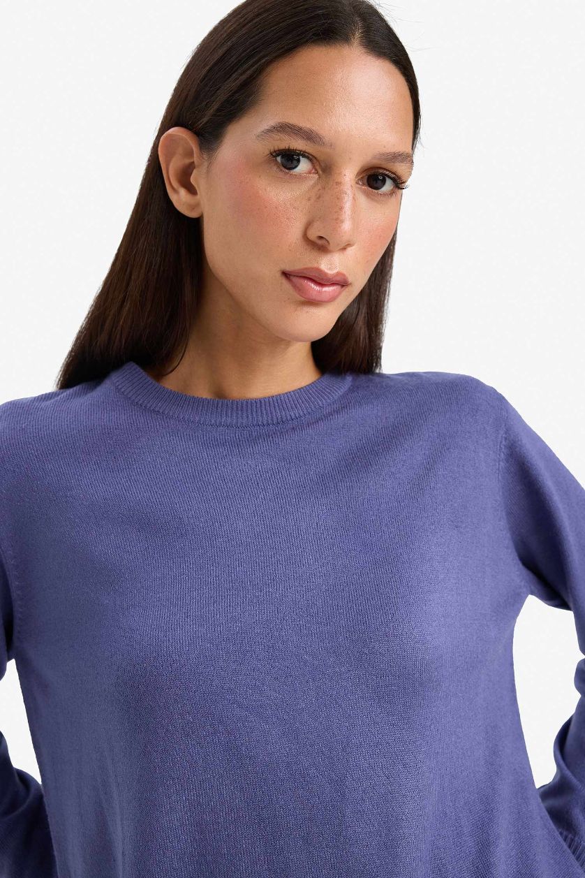 FEMME Violet Pull en tricot à col rond Coupe décontractée