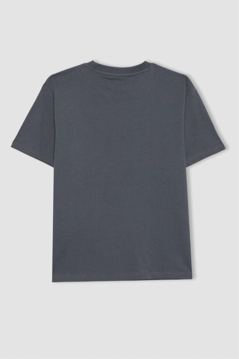 BOYS & TEENS Anthracite Boy Crew Neck Printed Short Sleeve T-Shirt