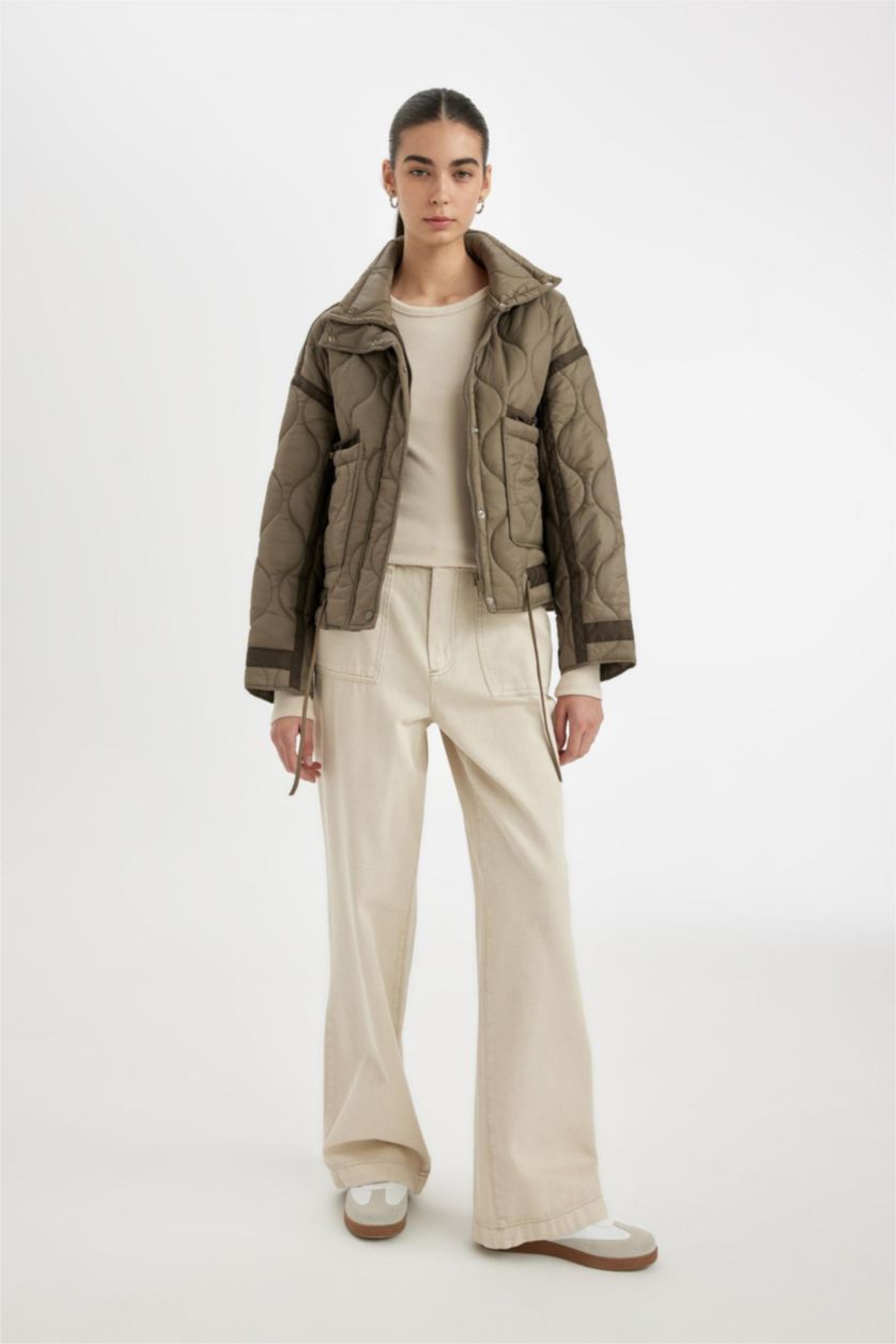 Kadın Vizon Oversize Geniş Kalıp Hafif Mevsimlik Mont Dik Yaka Kapitoneli Fermuarlı Çıtçıtlı Cepli