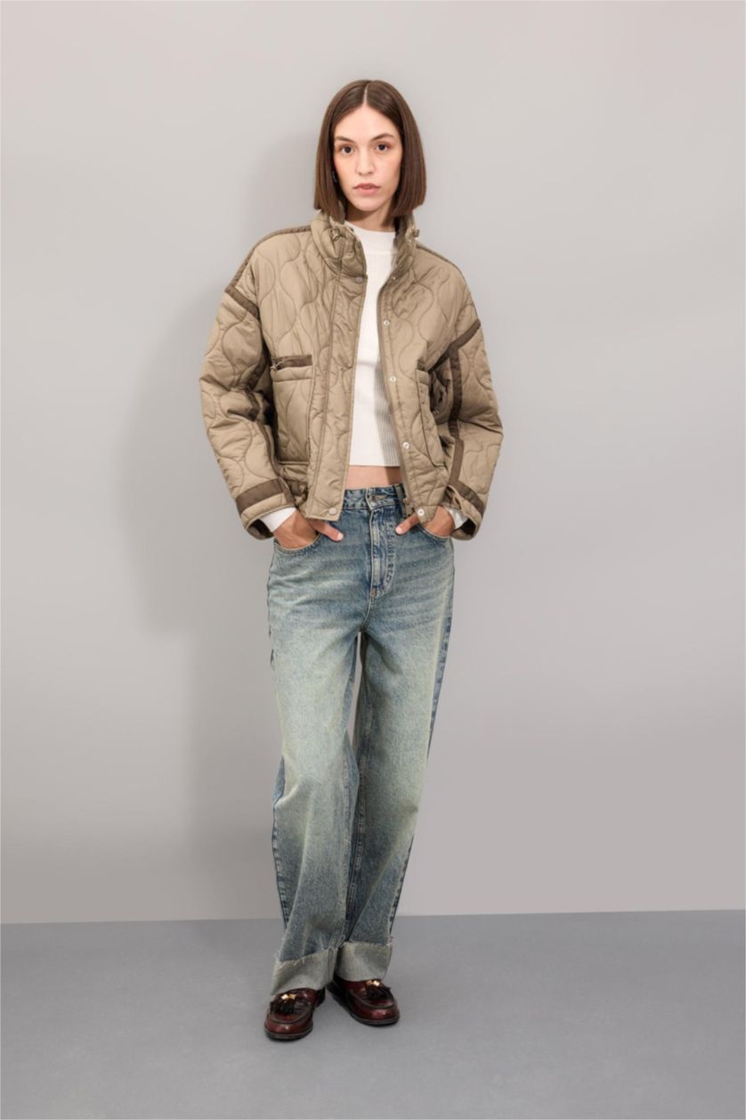 Kadın Vizon Oversize Geniş Kalıp Hafif Mevsimlik Mont Dik Yaka Kapitoneli Fermuarlı Çıtçıtlı Cepli