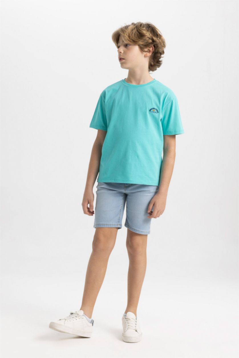 Boys & Teens Light Green Boy Crew Neck Embroidered Short Sleeve T-Shirt