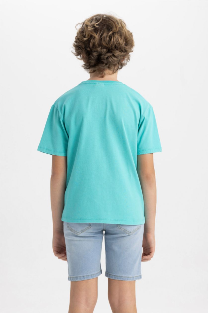 Boys & Teens Light Green Boy Crew Neck Embroidered Short Sleeve T-Shirt