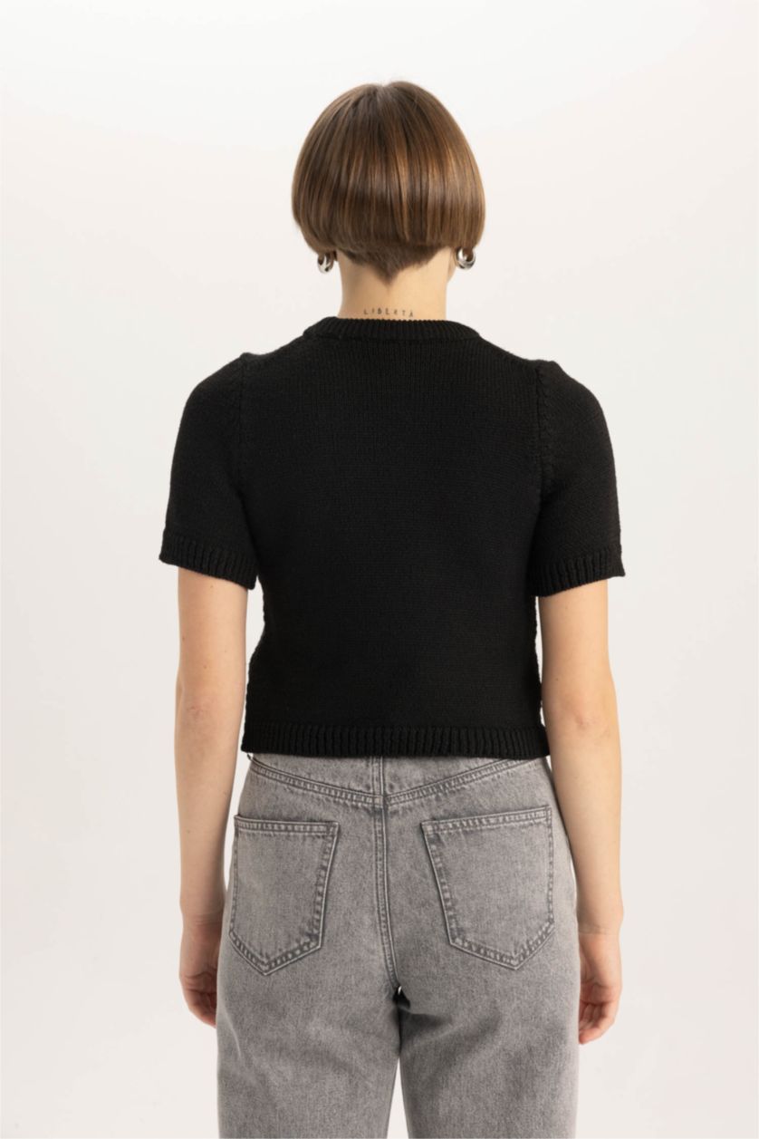 WOMAN Black Fitted Crew Neck Short Sleeve Knitted Pullover