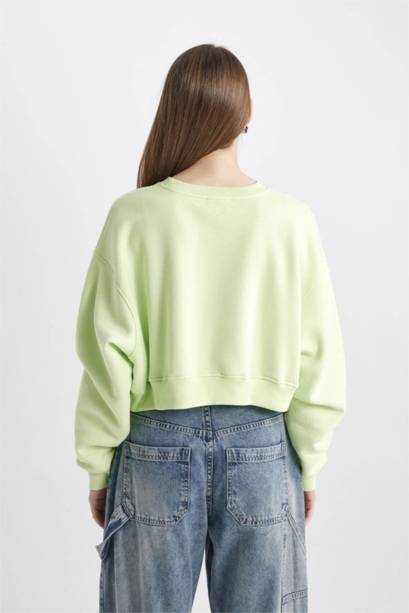 WOMAN Mint Crew Neck Crop Basic Sweatshirt
