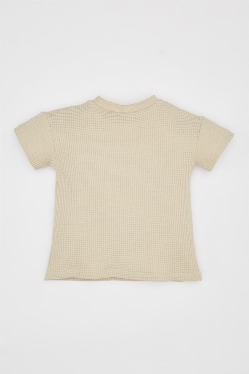 BÉBÉ GARÇON Beige Baby Boy Regular Fit Crew Neck Waffle T-Shirt