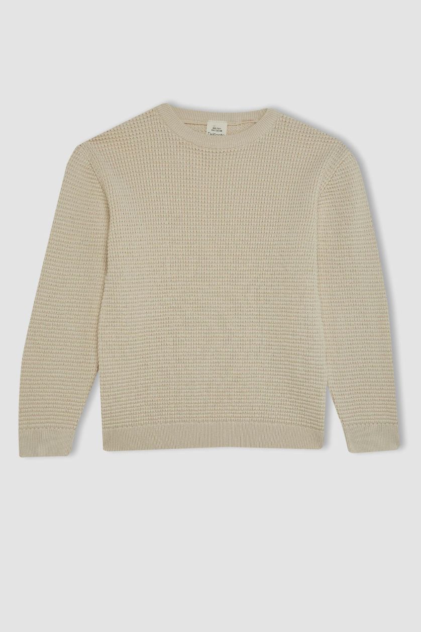 Erkek Çocuk - Genç Erkek Ekru Bisiklet Yaka Basic Düz Triko Kazak Erkek Çocuk