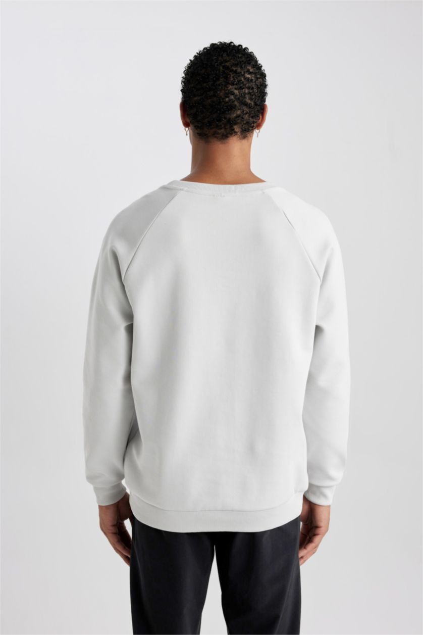 رجال اللون الحجري سويت شيرت قصة عادية من قماش سكوبا من DeFactoFit