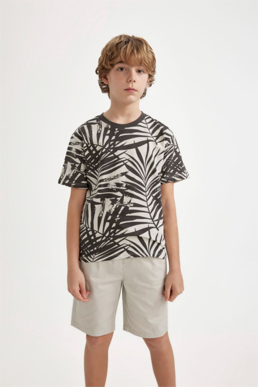 Boys & Teens Stone Boy Regular Fit Crew Neck Printed T-Shirt