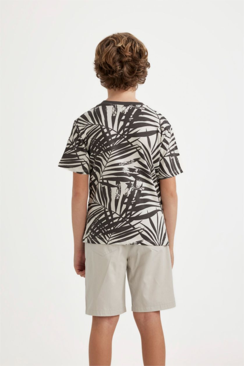 Boys & Teens Stone Boy Regular Fit Crew Neck Printed T-Shirt