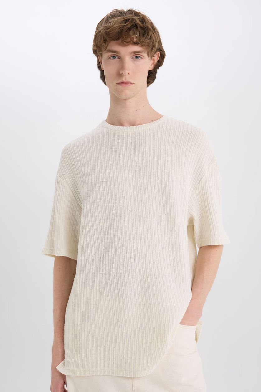 Erkek Ekru Boxy Fıt Bisiklet Yaka Kısa Kollu Tişört