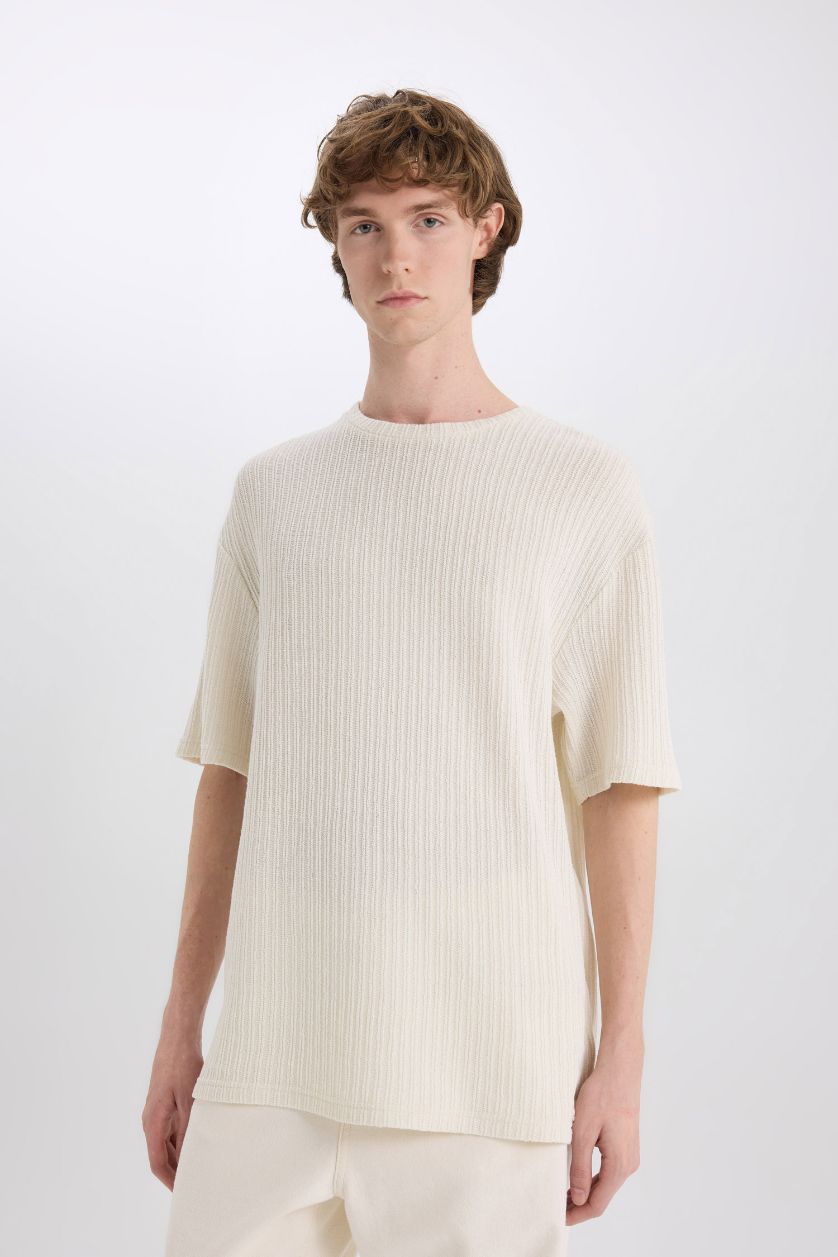 Erkek Ekru Boxy Fıt Bisiklet Yaka Kısa Kollu Tişört