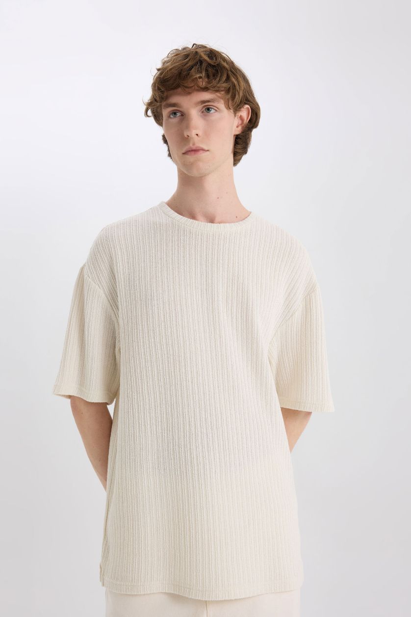 Erkek Ekru Boxy Fıt Bisiklet Yaka Kısa Kollu Tişört