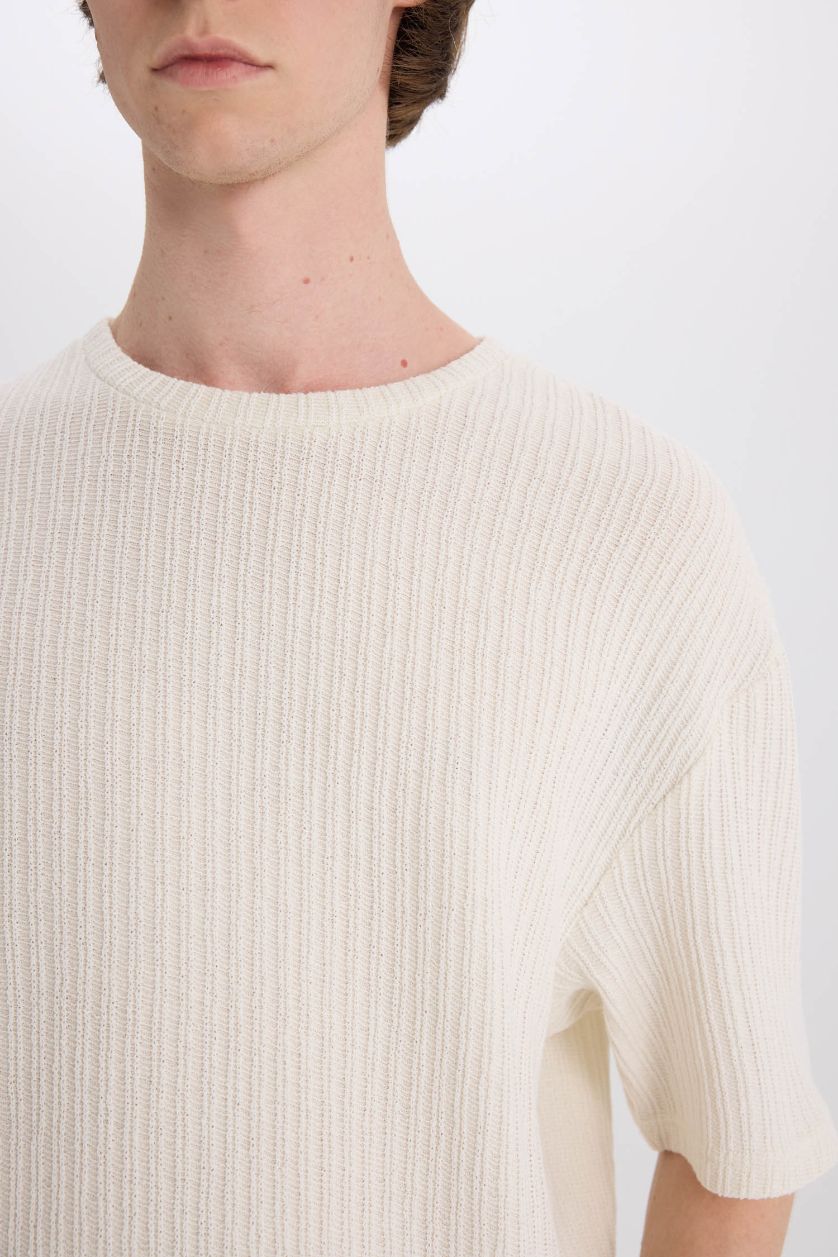 Erkek Ekru Boxy Fıt Bisiklet Yaka Kısa Kollu Tişört