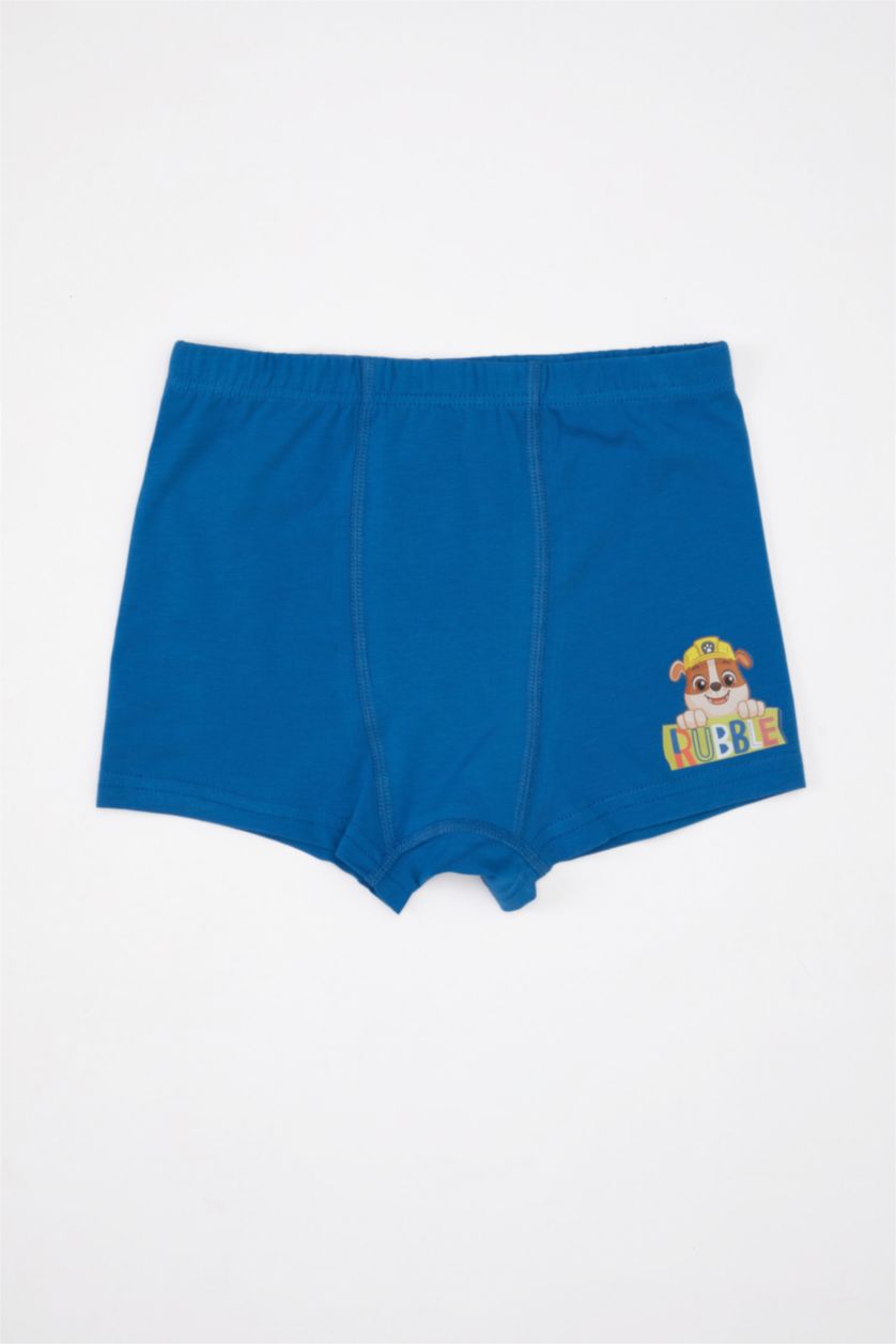 BOYS & TEENS Royal Boy 3 piece PAW Patrol Licensed Printed Boxer