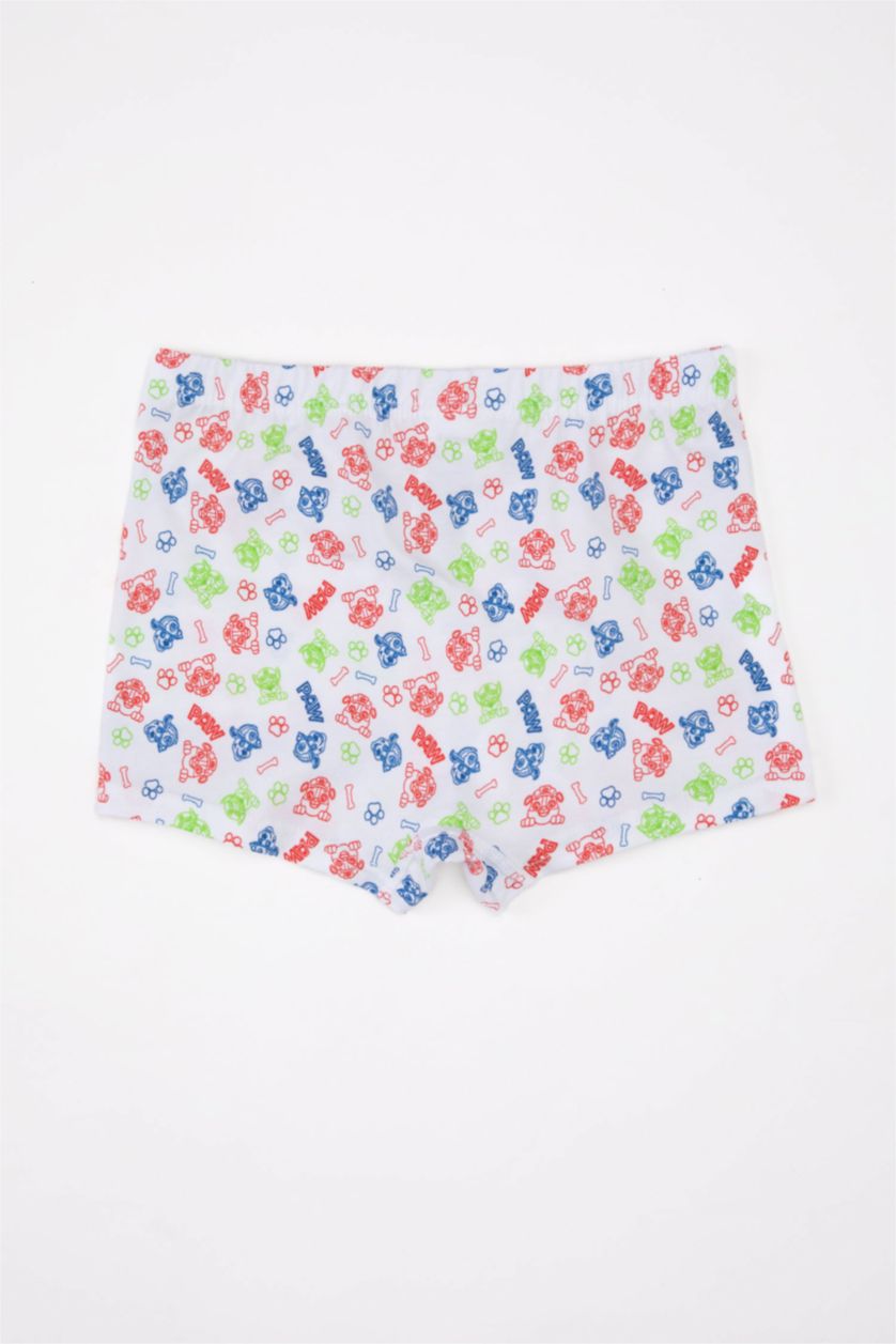 BOYS & TEENS Royal Boy 3 piece PAW Patrol Licensed Printed Boxer