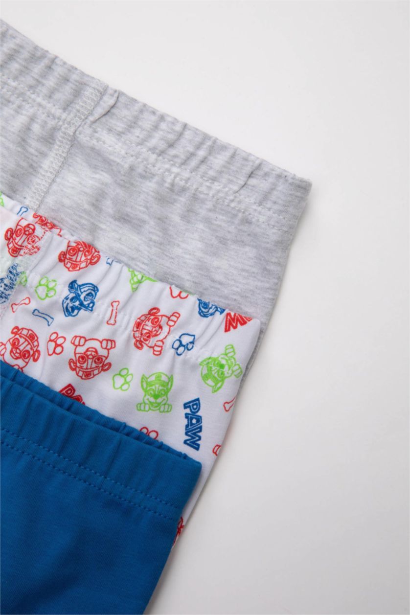BOYS & TEENS Royal Boy 3 piece PAW Patrol Licensed Printed Boxer