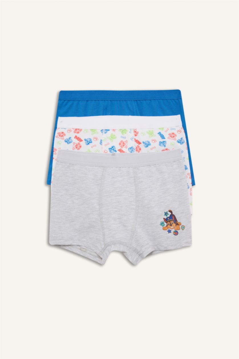 Young Boys - Teen Boys Royal Boy 3 piece PAW Patrol Licensed Printed Boxer