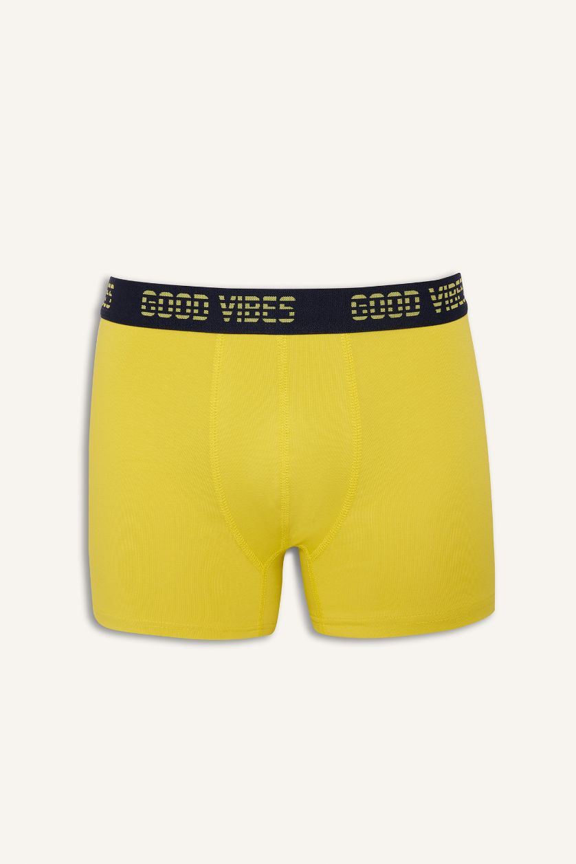 Erkek Koyu Mavi Regular Fıt Meyve Desenli 3'lü Boxer