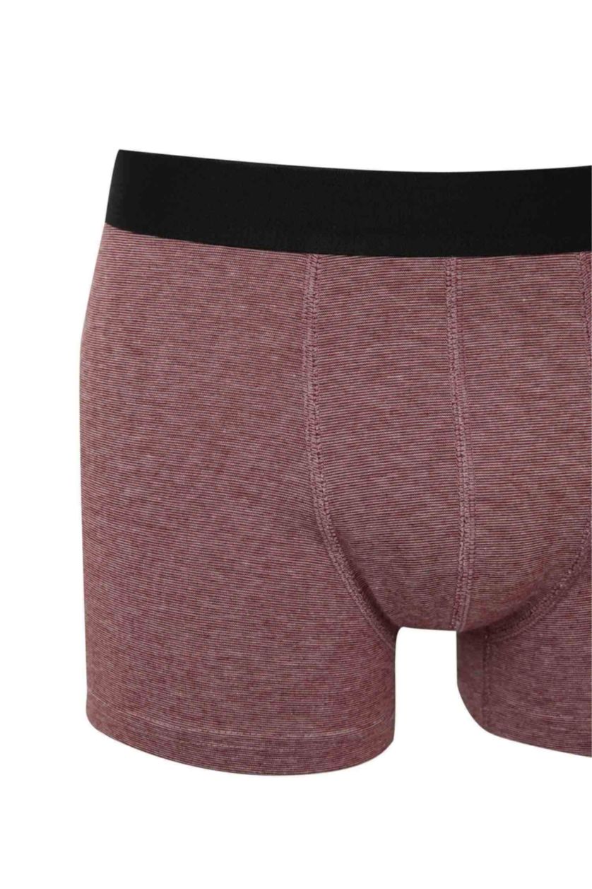 Men Black Regular Fit 3 piece