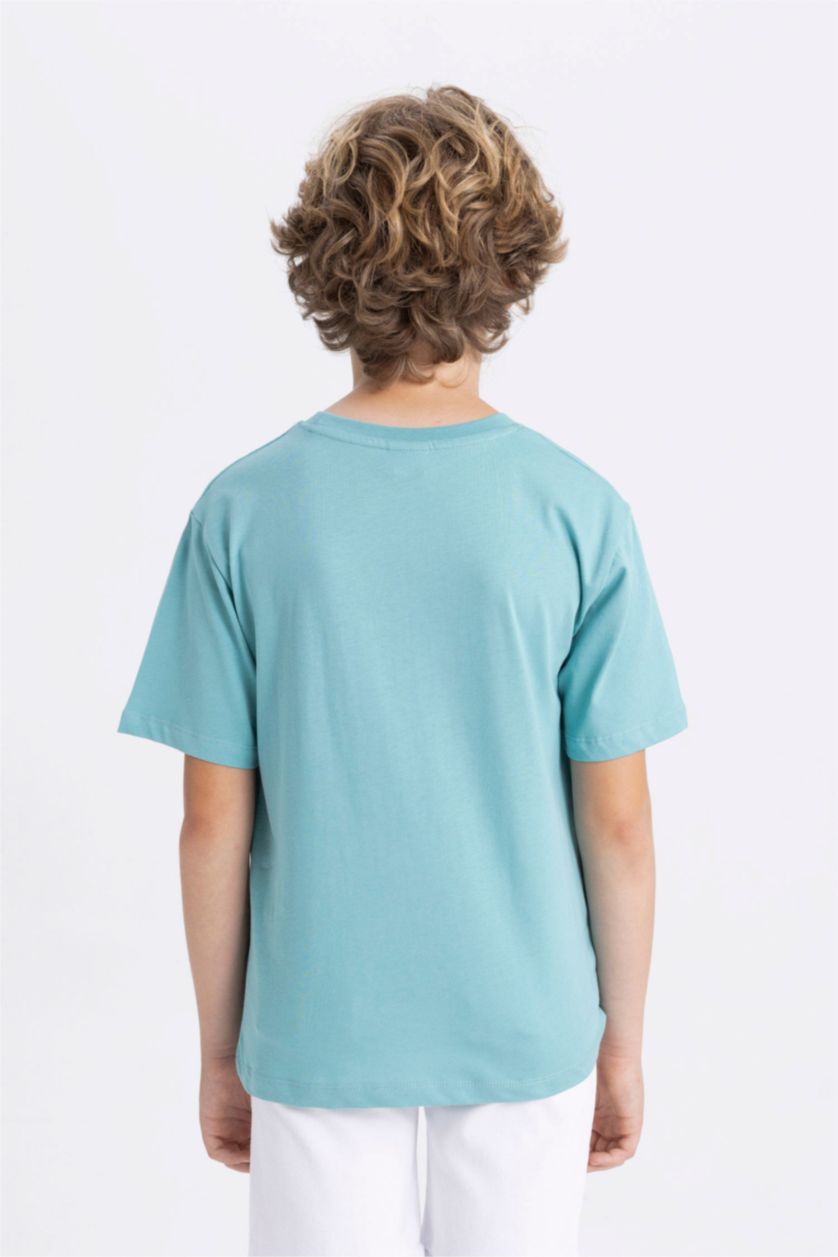Boys & Teens Light Green Boy Crew Neck Printed Short Sleeve T-Shirt