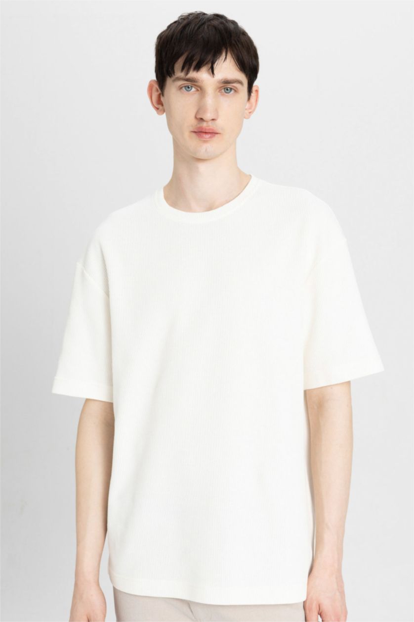 Erkek Ekru Relax Fit Bisiklet Yaka Kısa Kollu Tişört