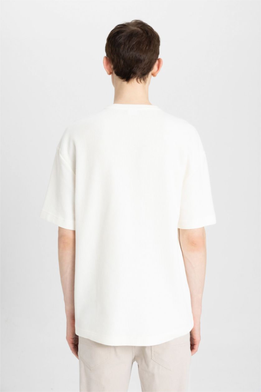 Erkek Ekru Relax Fit Bisiklet Yaka Kısa Kollu Tişört