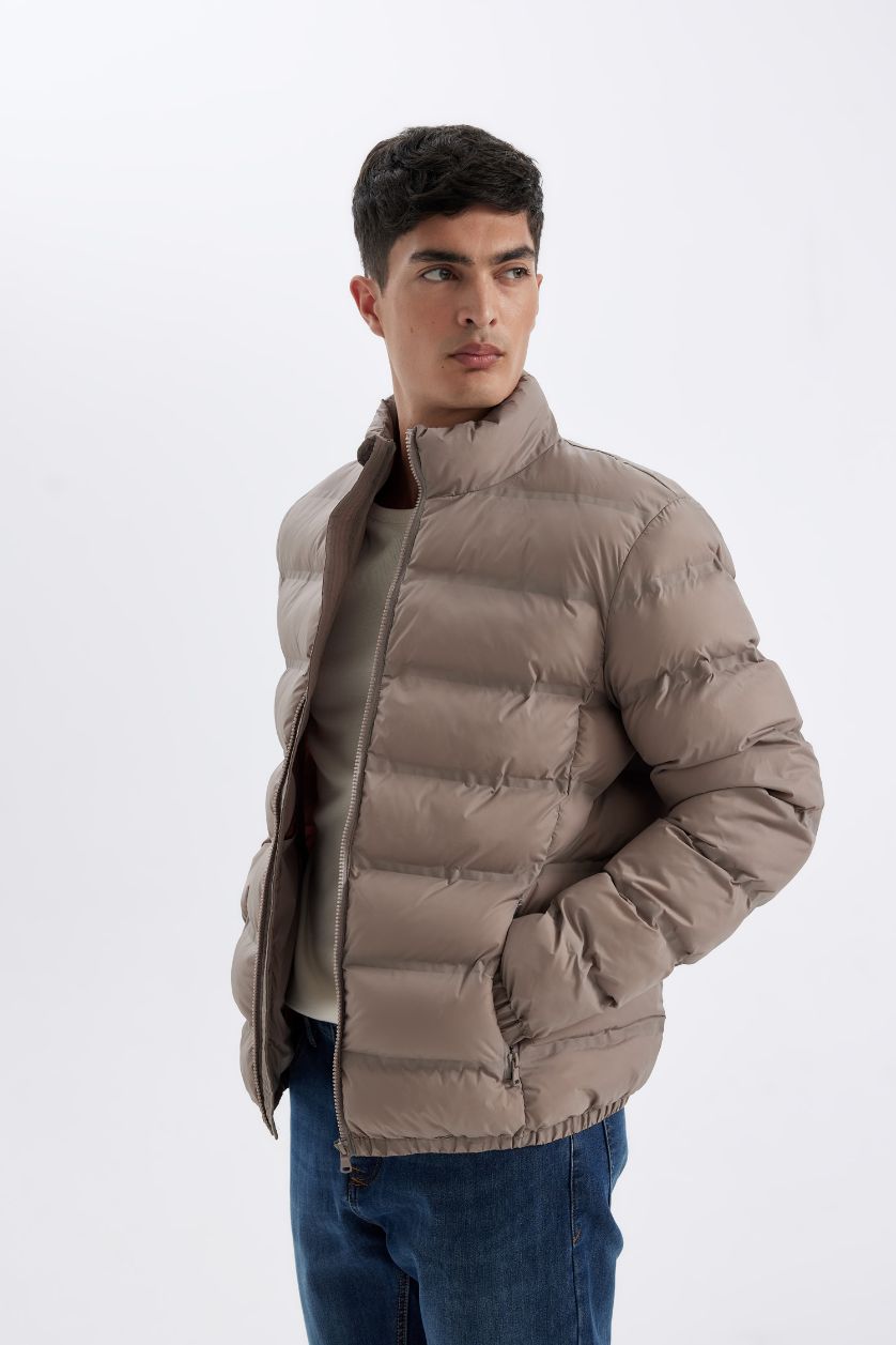 Erkek Vizon Regular Fit Dik Yaka Fermuarlı Cepli Mevsimlik Baharlık Şişme Mont