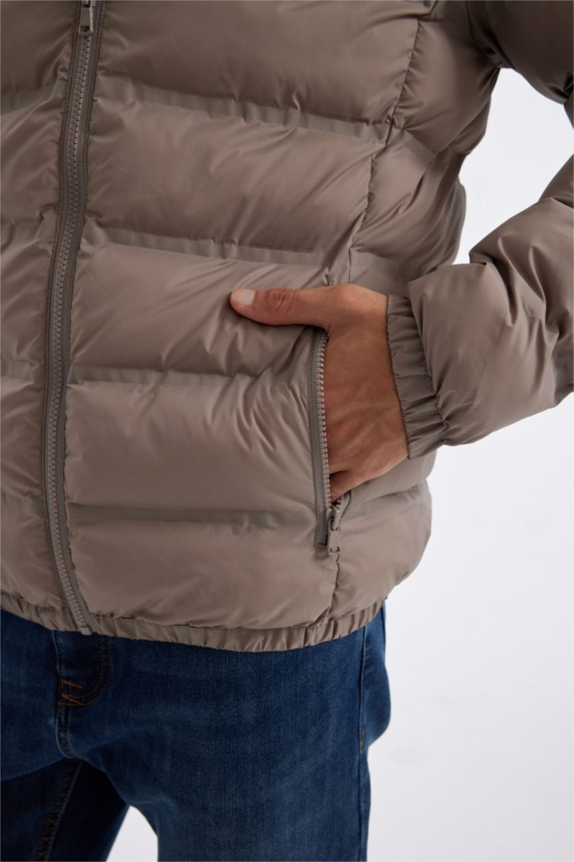 Erkek Vizon Regular Fit Dik Yaka Fermuarlı Cepli Mevsimlik Baharlık Şişme Mont