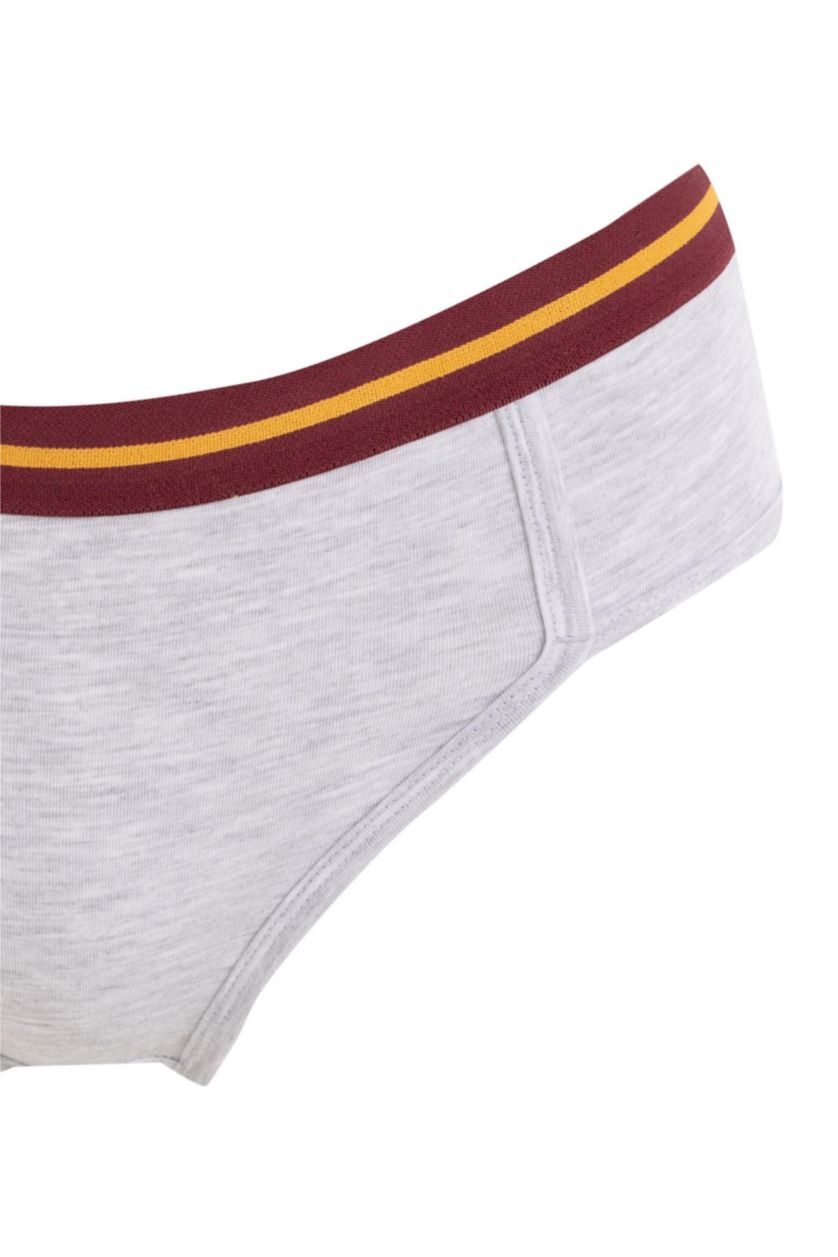 Woman Grey Melange Fall in Love Slip Panties