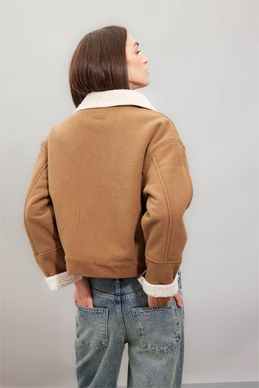 Kadın Camel Regular Kalıp Kadife Mont Polo Yaka Çıtçıtlı İçi Suni Kürklü Ceket