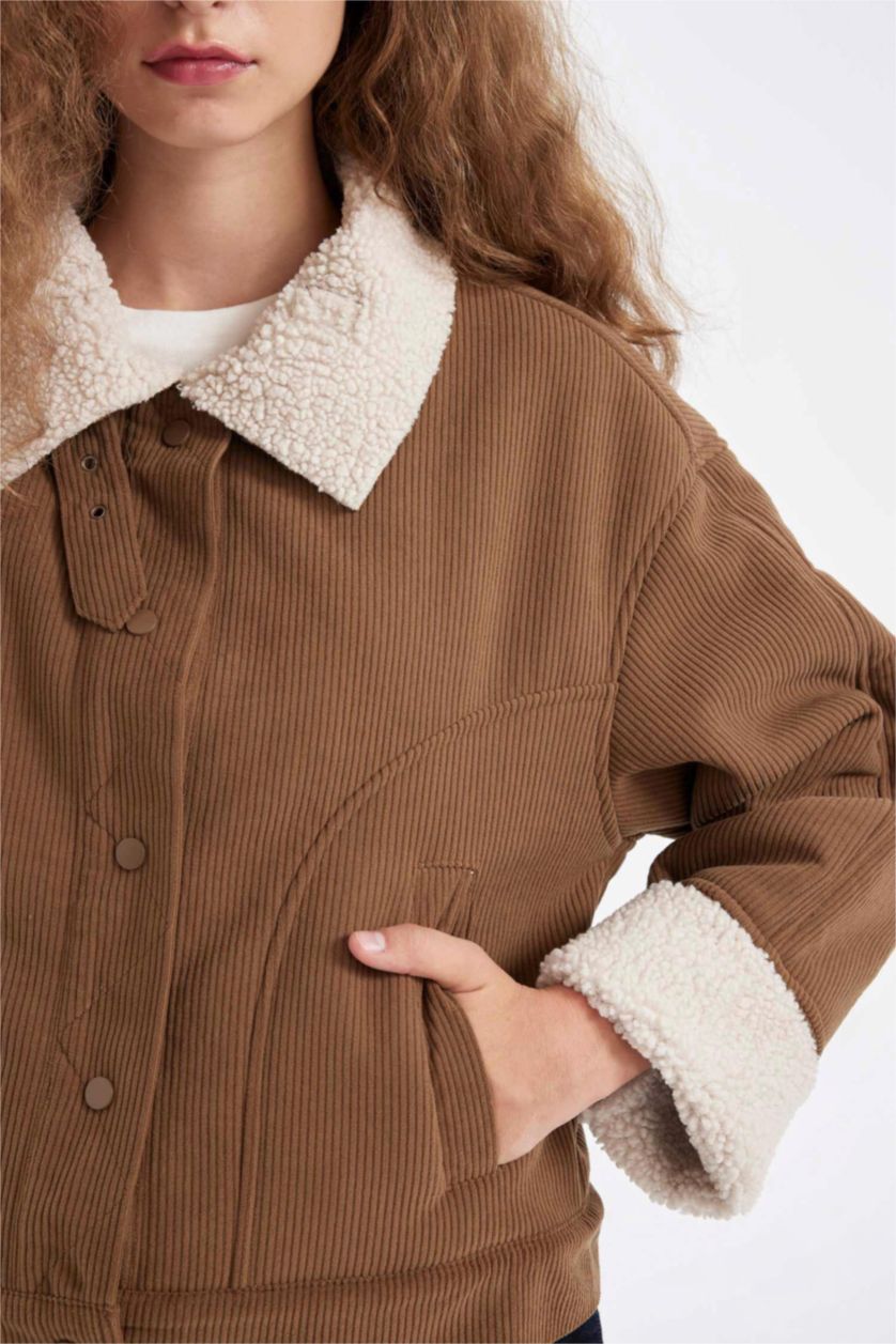 Kadın Camel Regular Kalıp Kadife Mont Polo Yaka Çıtçıtlı İçi Suni Kürklü Ceket