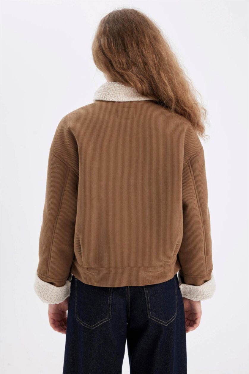 Kadın Camel Regular Kalıp Kadife Mont Polo Yaka Çıtçıtlı İçi Suni Kürklü Ceket