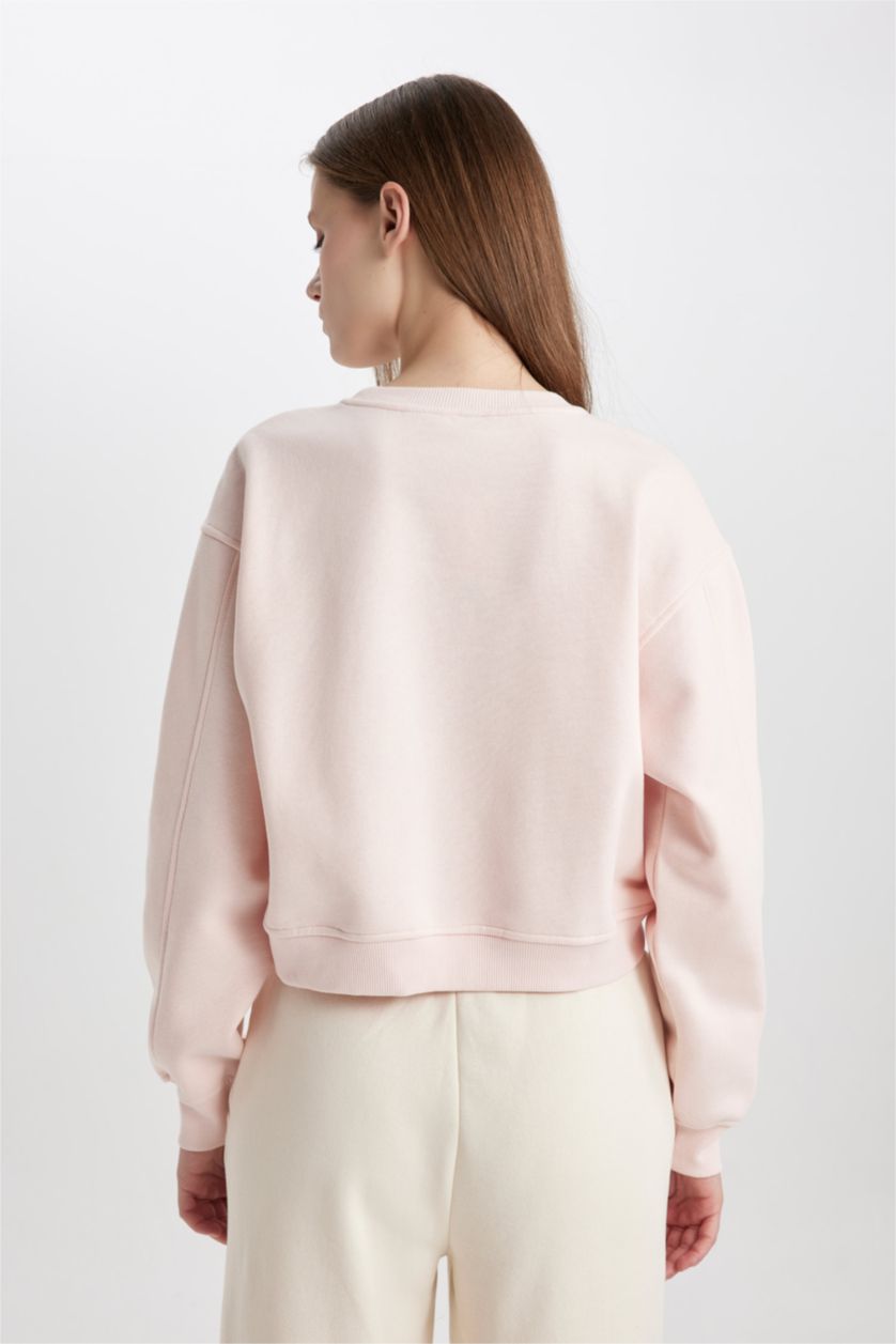Kadın Açık Pembe Boxy Fıt Kalın Kumaş Sweatshirt