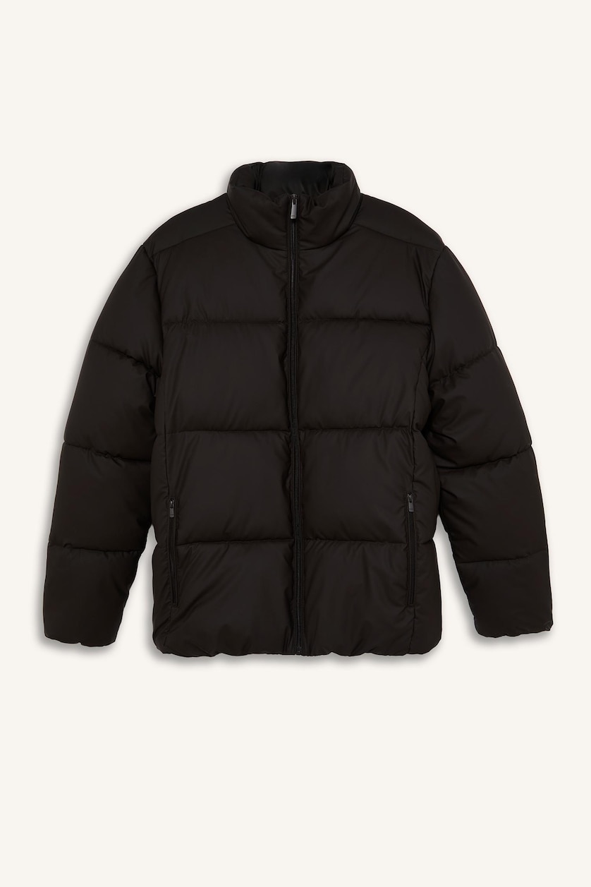Man Black Dog Collar Puffer Jacket