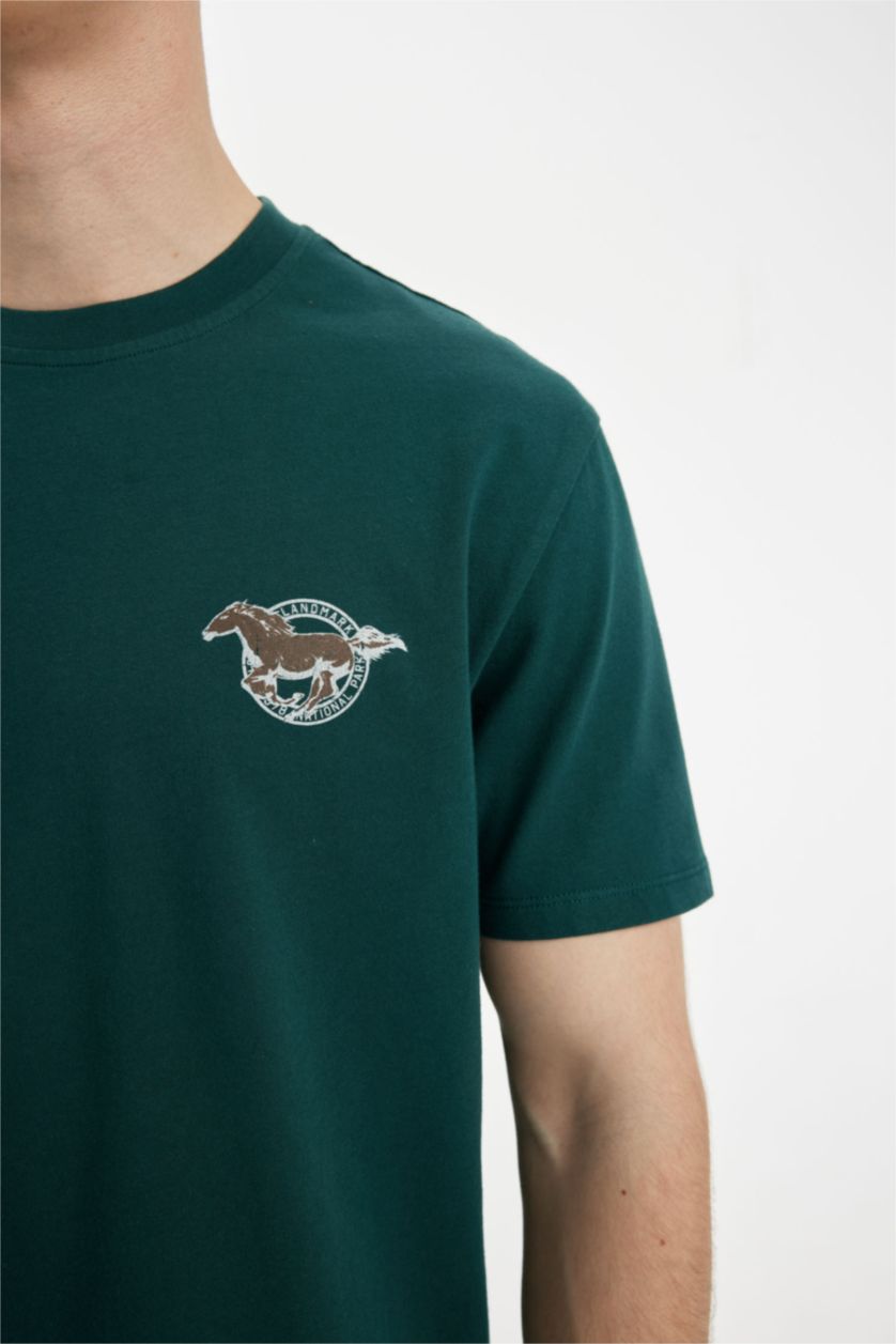 Erkek Koyu Yeşil %100 Pamuk Regular Fit Bisiklet Yaka Sırt Baskılı Kısa Kollu Tişört