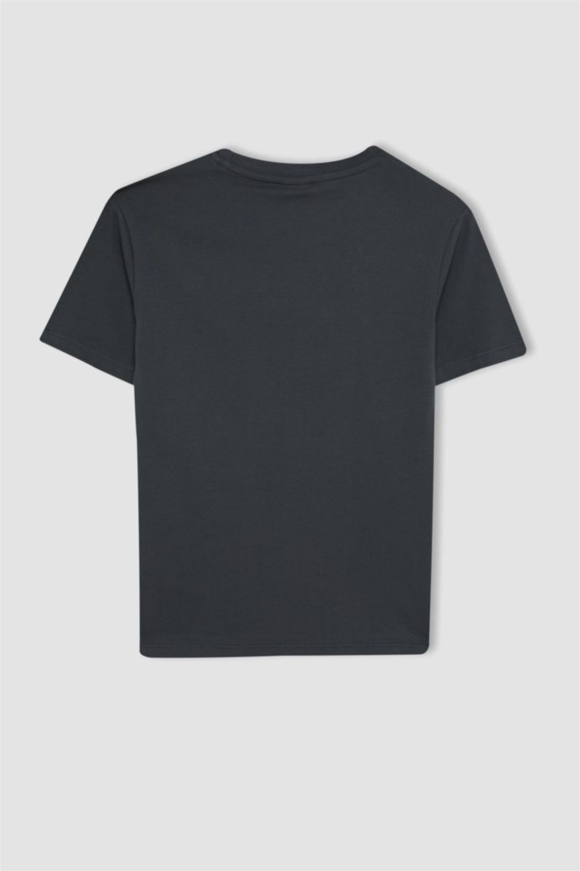 Boys & Teens Anthracite Boy Crew Neck Color Changing Printed T-Shirt